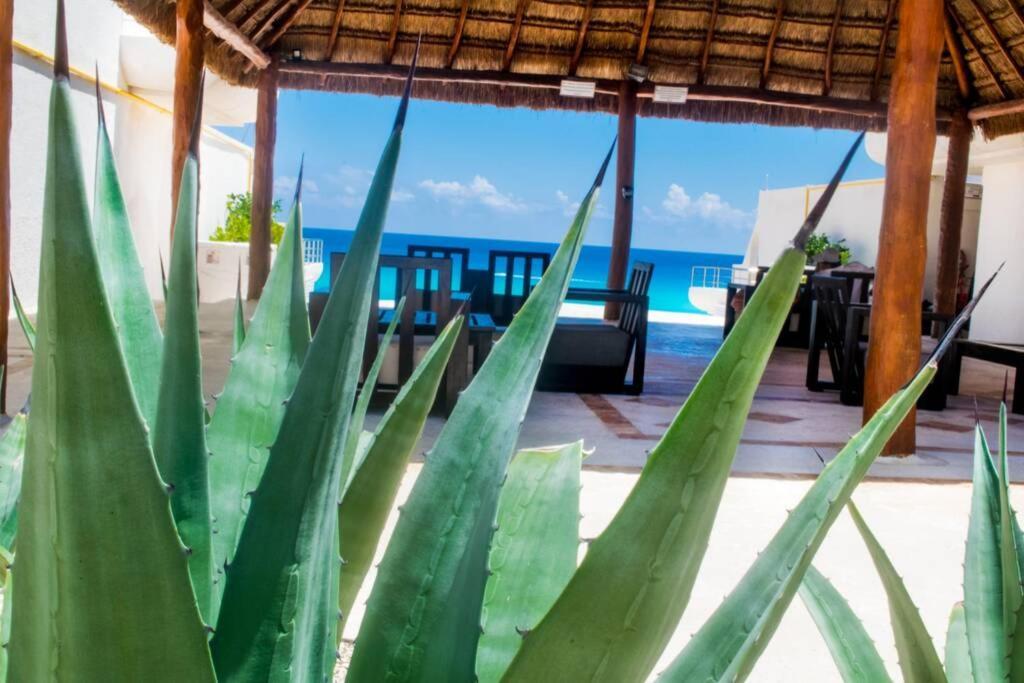 Villas Marlin 108 Cancún Exterior foto